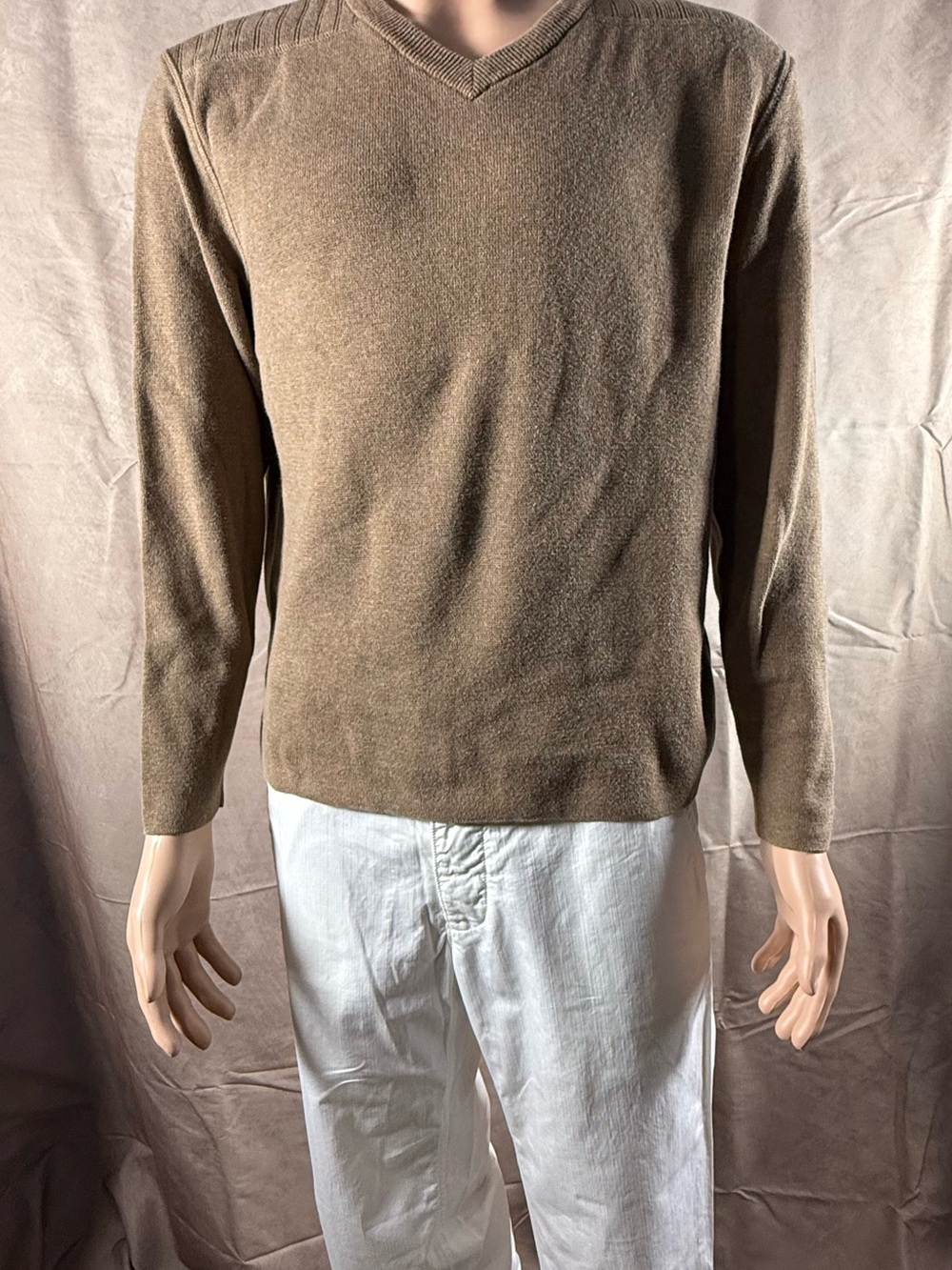 Express Men's V-Neck Sweater in Taupe Brown